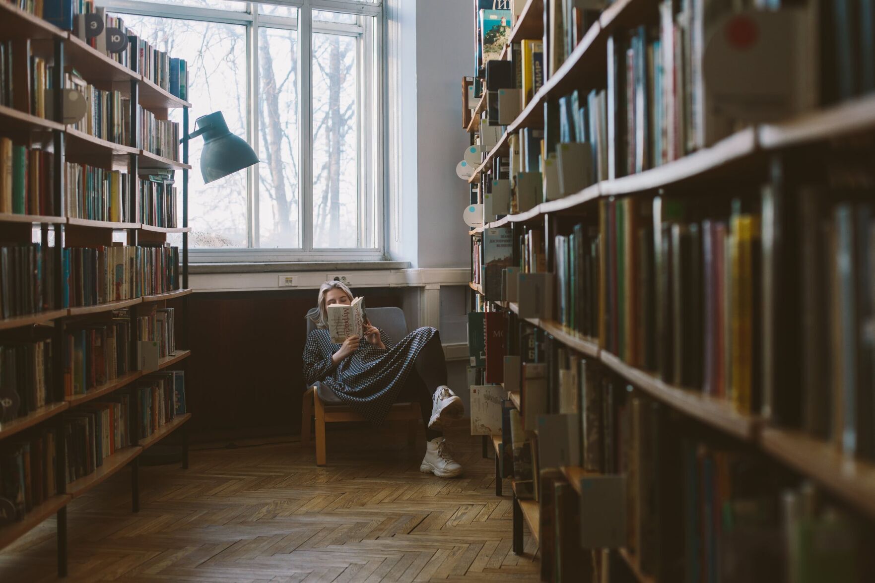 reading book stock